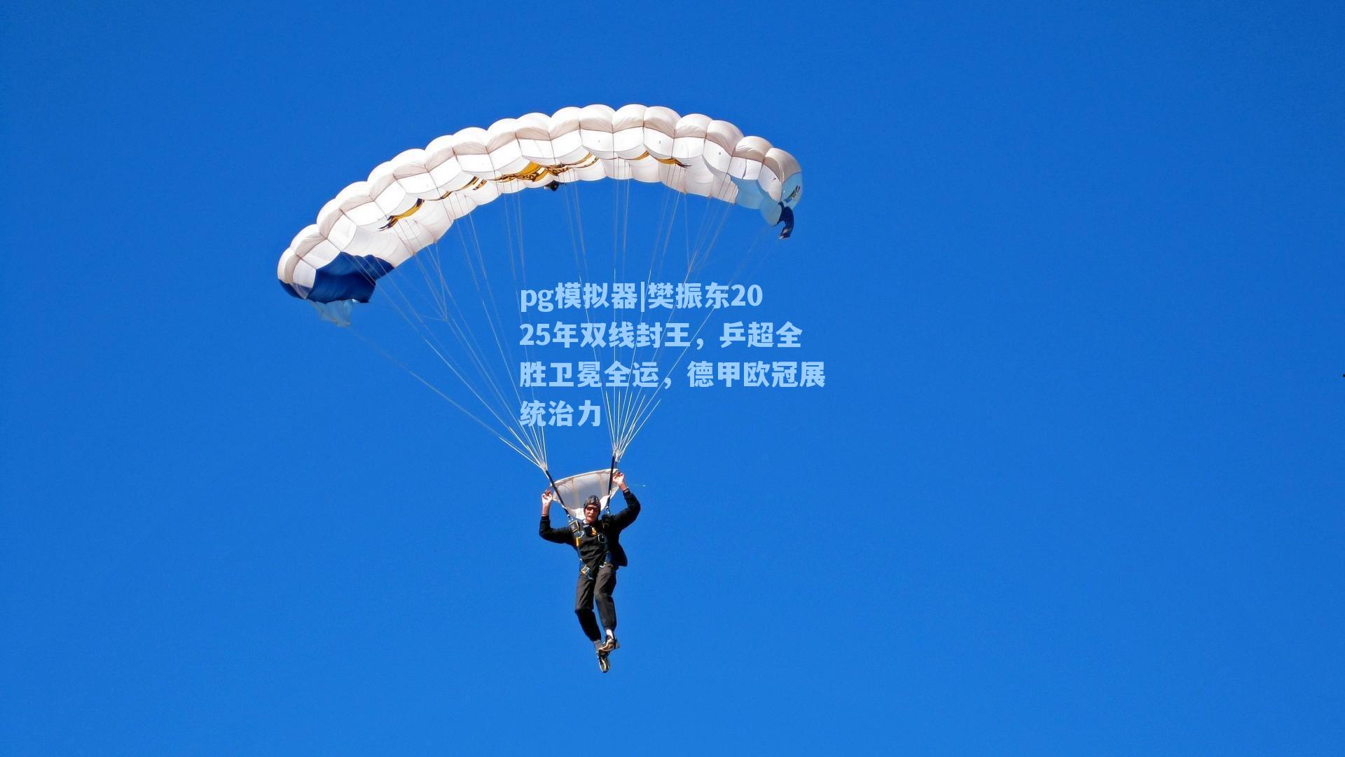pg模拟器|樊振东2025年双线封王，乒超全胜卫冕全运，德甲欧冠展统治力